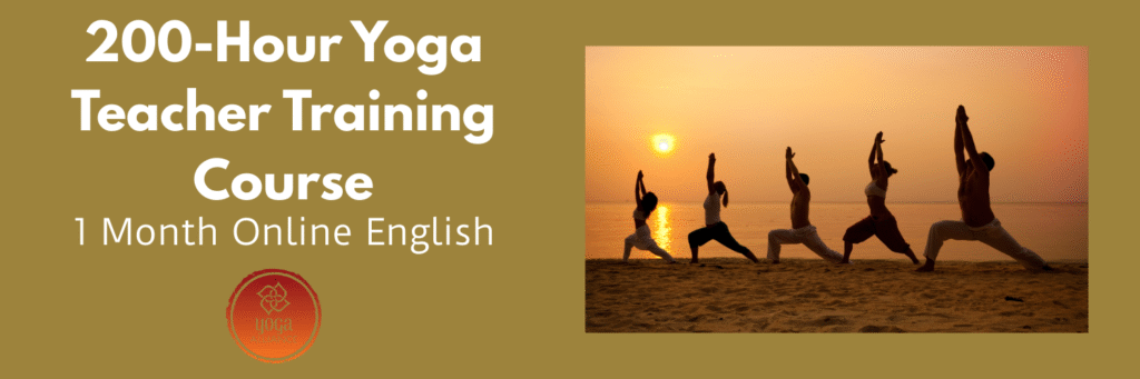 Yoga students practicing asanas during a 200-hour Yoga Teacher Training Course
